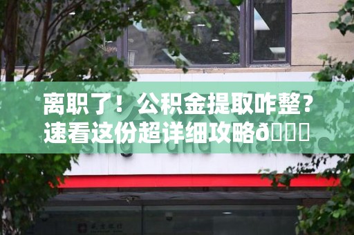 寿宁离职了！公积金提取咋整？速看这份超详细攻略😎